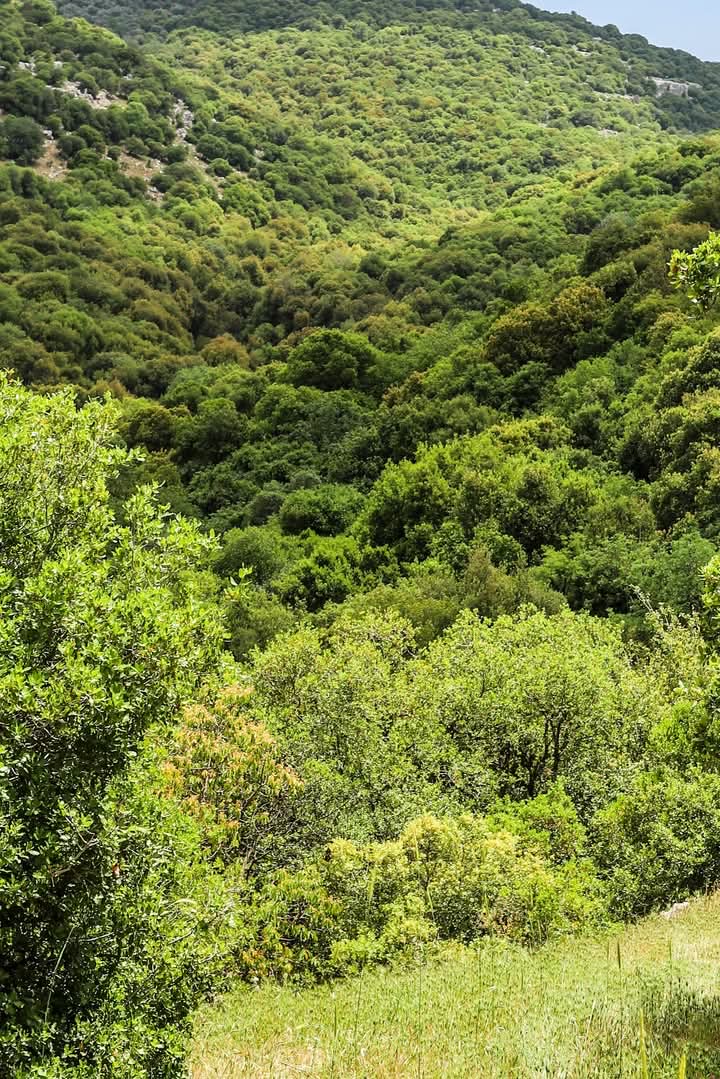 Ajloun to As-Salt Adventure