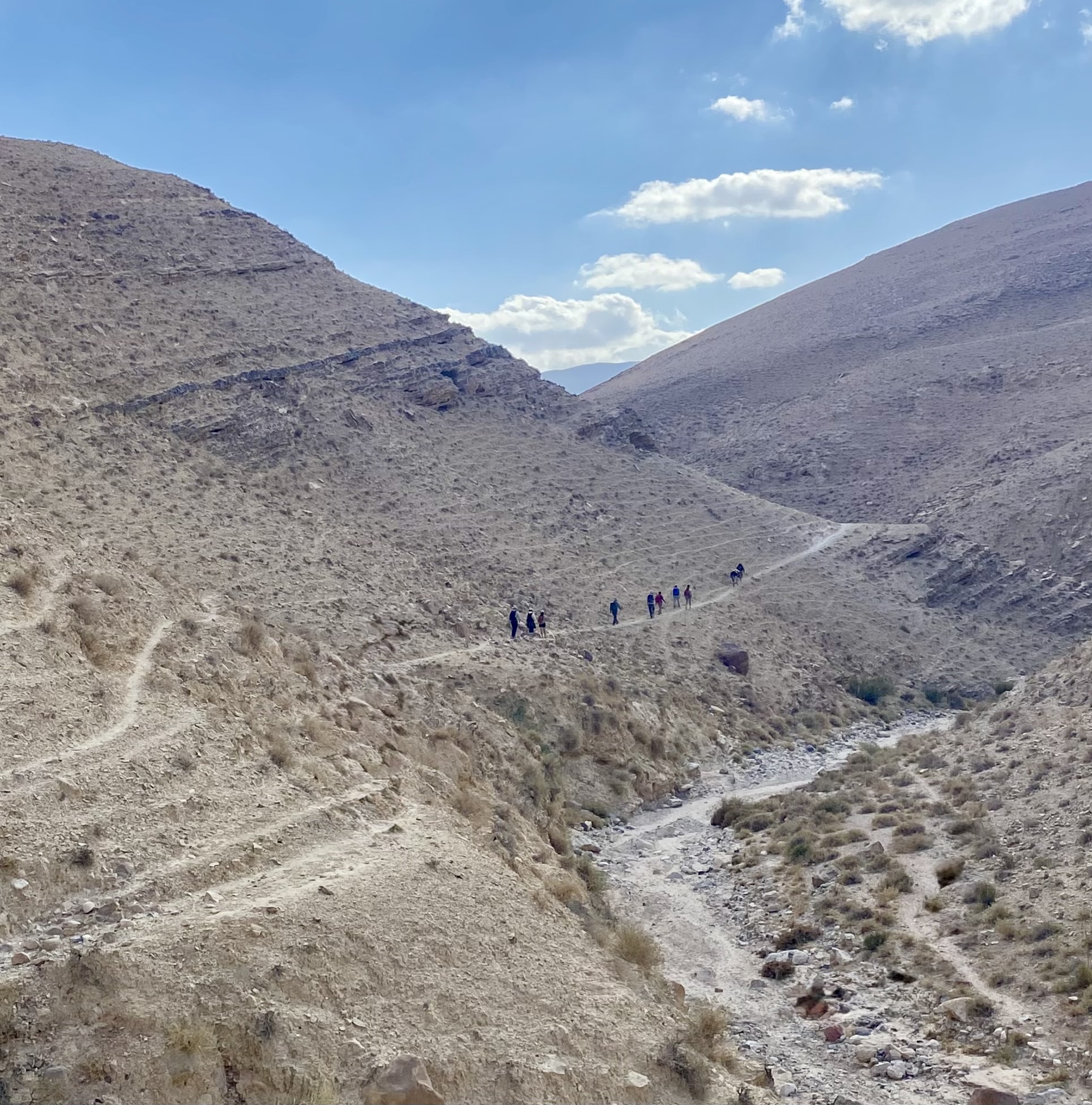 Dana Nature Reserve to Wadi Ghuweir